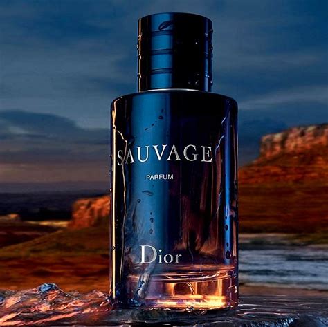 savauge dior dupe|dior sauvage samples.